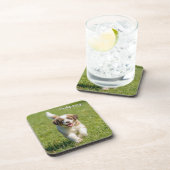 Playful St. Bernard Personalized Coaster Set コースター (右側)