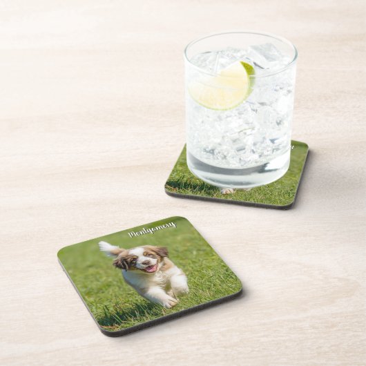 Playful St. Bernard Personalized Coaster Set コースター (右側)