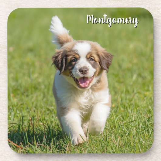 Playful St. Bernard Personalized Coaster Set コースター (正面)