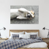 Playful White Dog Lying on Back Hiding Face with P キャンバスプリント (インサイチュ (寝室))