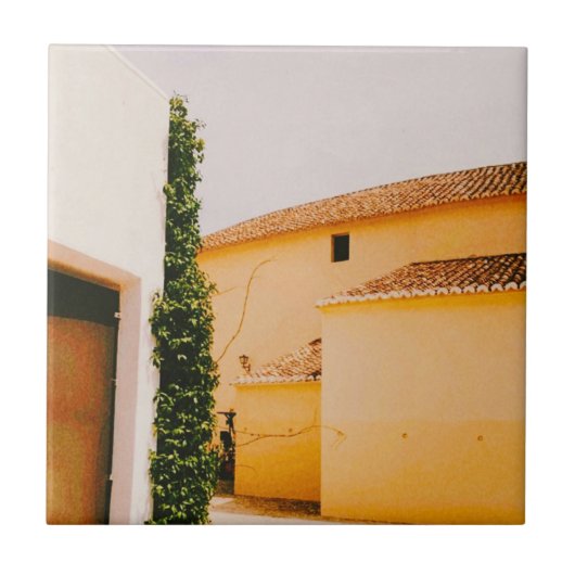 Plaza de Toros de Ronda - Andalusia – スペイン タイル (正面)