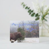 PLBメリークリスマスカスタマイズ- シーズンポストカード (スタンド正面)