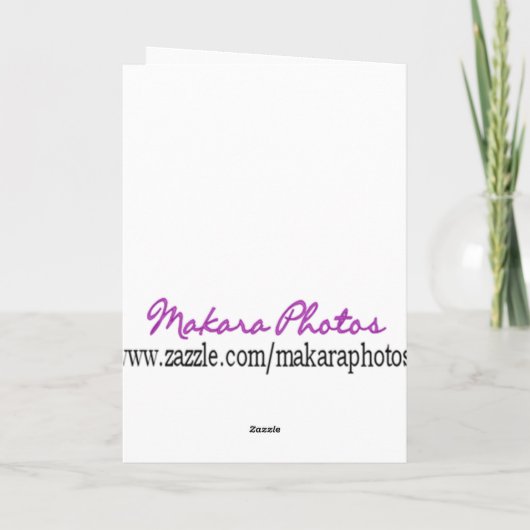 PLB悔やみや弔慰または引き起こります カード (裏面)