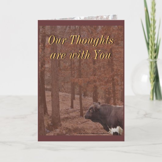 PLB悔やみや弔慰または引き起こります カード (正面)