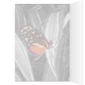 Pleasantville Butterfly - 5" x 7"アートカード (内側 (左))