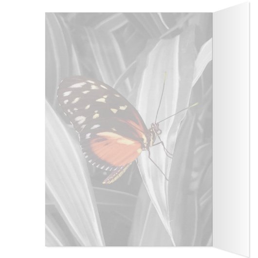 Pleasantville Butterfly - 5" x 7"アートカード (内側 (左))