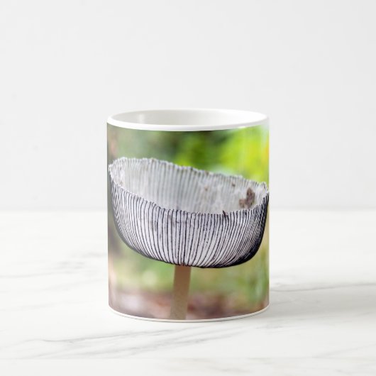 Pleated Inkcap Mushroom Mug コーヒーマグカップ (中央)