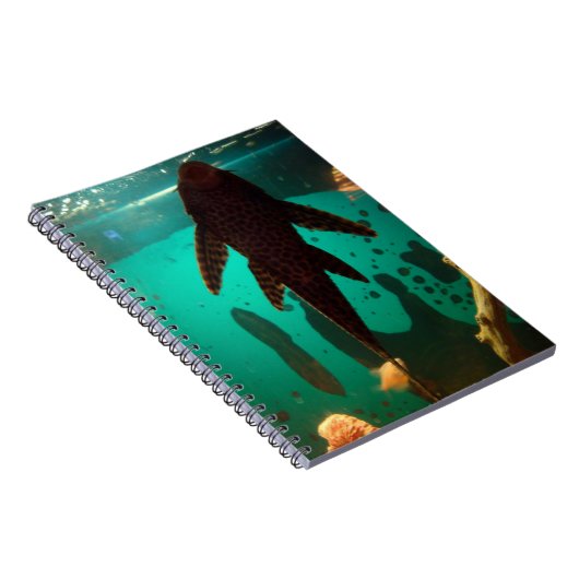 Pleco ノートブック (右側)