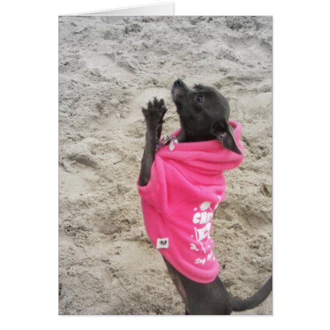 PLeeeeaaasssee!! (正面)