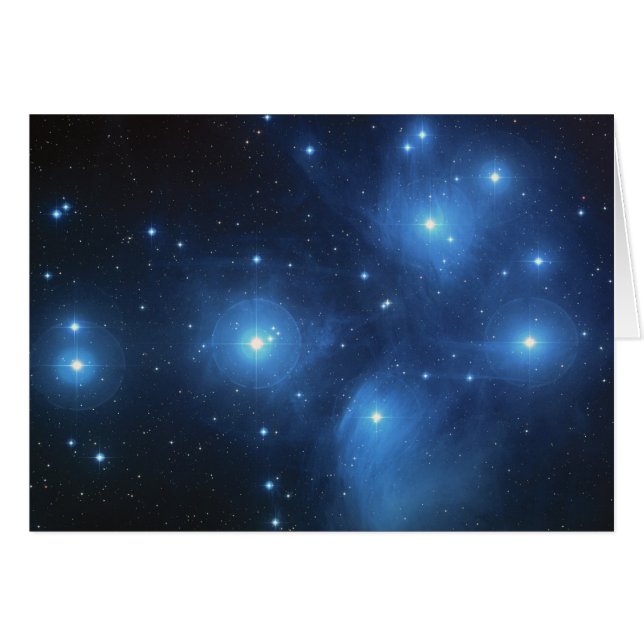 Pleiades (正面横)