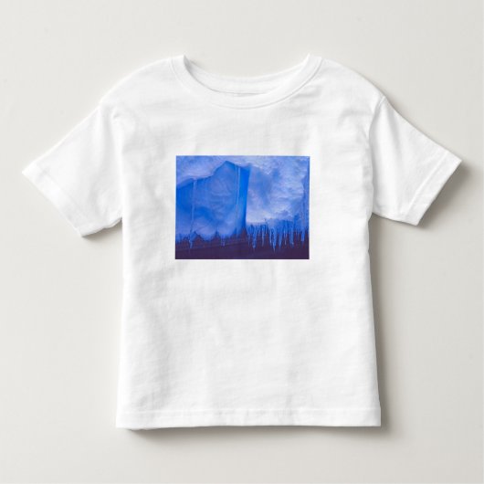 Pleneau Iceberg墓地、南極：青 トドラーTシャツ (正面)