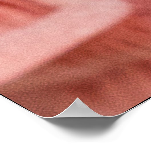 pleurotes roses ポスター (角)