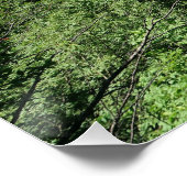 Plitvice Lakes Croatia ポスター (コーナー)