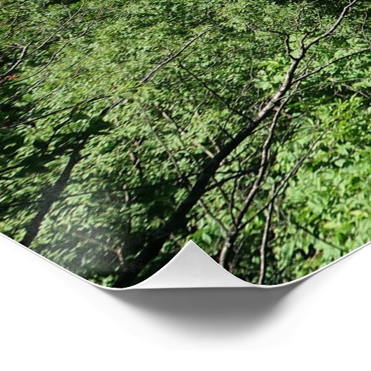 Plitvice Lakes Croatia ポスター (コーナー)