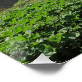 Plitvice Lakes Croatia ポスター (コーナー)