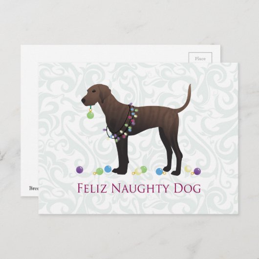 Plott猟犬のクリスマス シーズンポストカード (正面/裏面)