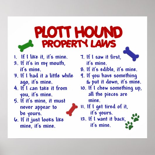 PLOTT HOUND PL2 ポスター (正面)