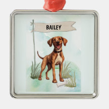 Plott Watercolor Personalized Dog
