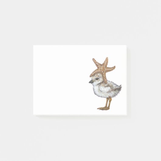Plover Chick Post-Itメモ ポストイット (正面)
