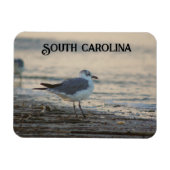 Plover on the beach マグネット (横)