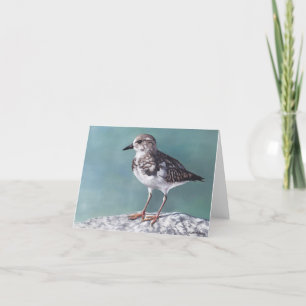 Plover Shore Bird Artノートカード カード