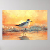 Plover Standing in Ocean Waves During Sunset ポスター (正面)