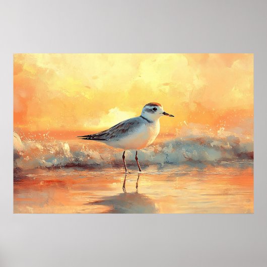 Plover Standing in Ocean Waves During Sunset ポスター (正面)