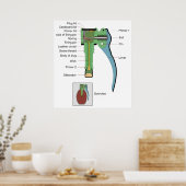 Plug of a Borstein Granat Grenade 1935 Model ポスター (キッチン)