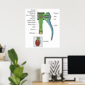 Plug of a Borstein Granat Grenade 1935 Model ポスター (ホームオフィス)