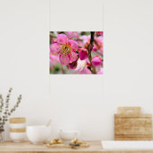 Plum Blossom Close-Up ポスター (キッチン)