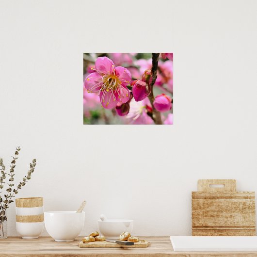 Plum Blossom Close-Up ポスター (キッチン)