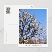 Plum Blossom ‘Okina’ ポストカード (正面/裏面)