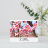 Plum Blossom ‘Yae-tobai’ ポストカード (スタンド正面)