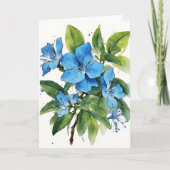 Plumbago Auriculata - Watercolor flowers カード (正面)