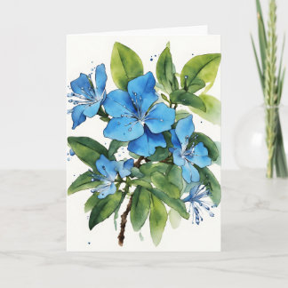 Plumbago Auriculata - Watercolor flowers カード