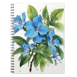 Plumbago Auriculata - Watercolor flowers ノートブック