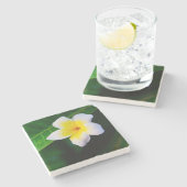 plumeria ストーンコースター (横)