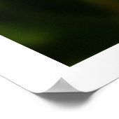 Plumeria ポスター (角)