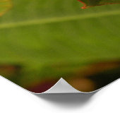 Plumeria ポスター (角)