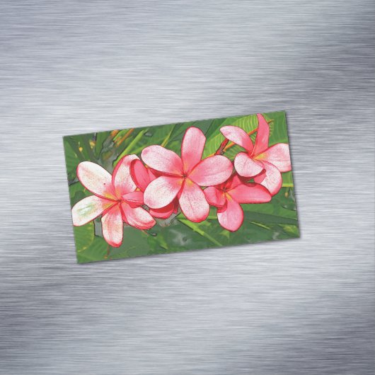 Plumeria マグネット名刺 (インサイチュ)