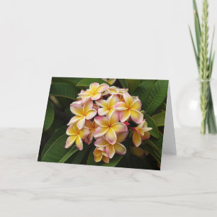 Plumeria Art note card. カード