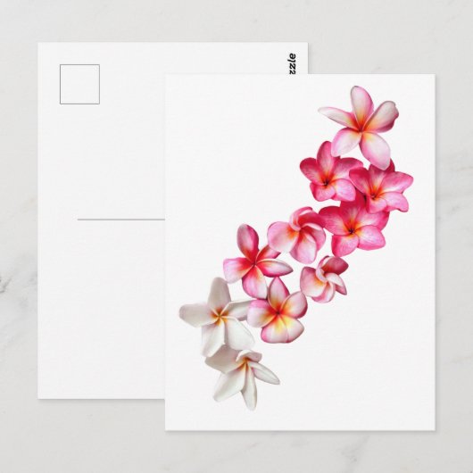 Plumeria Blooms Collage  ポストカード (正面/裏面)