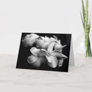 Plumeria Card カード