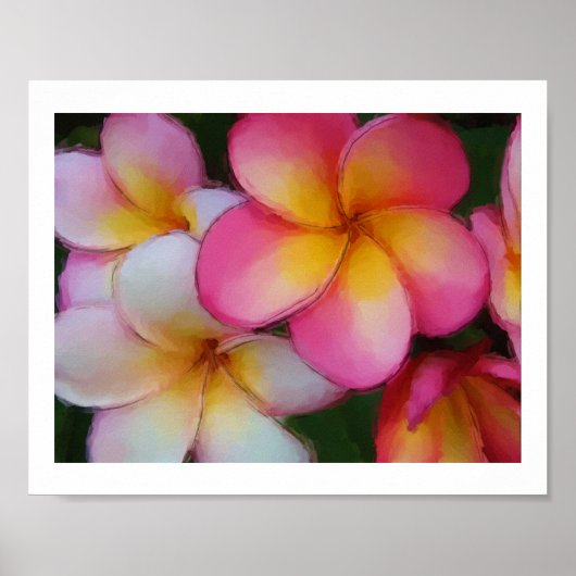 Plumeria Frangipani Flowers Watercolor Sketch ポスター (正面)