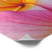 Plumeria - Hanna Pink Glow ポスター (角)