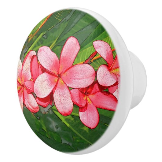 Plumerias セラミックノブ (右)