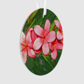 Plumerias pink   オーナメント (正面)