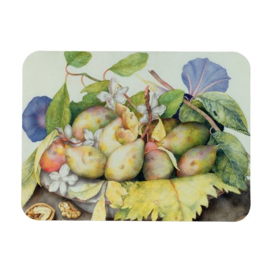 Plums、Walnuts、Jasmineを使用した静止状態(W/c on) マグネット (横)