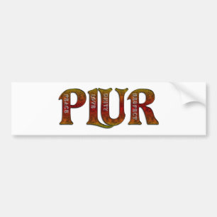PLUR (火) バンパーステッカー