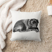 Plush Pause, Cozy Texture クッション (ブランケット)